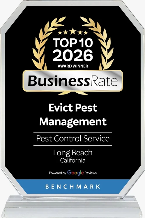 BusinessRate Top 10, 2026 · Pest Control Service · Long Beach