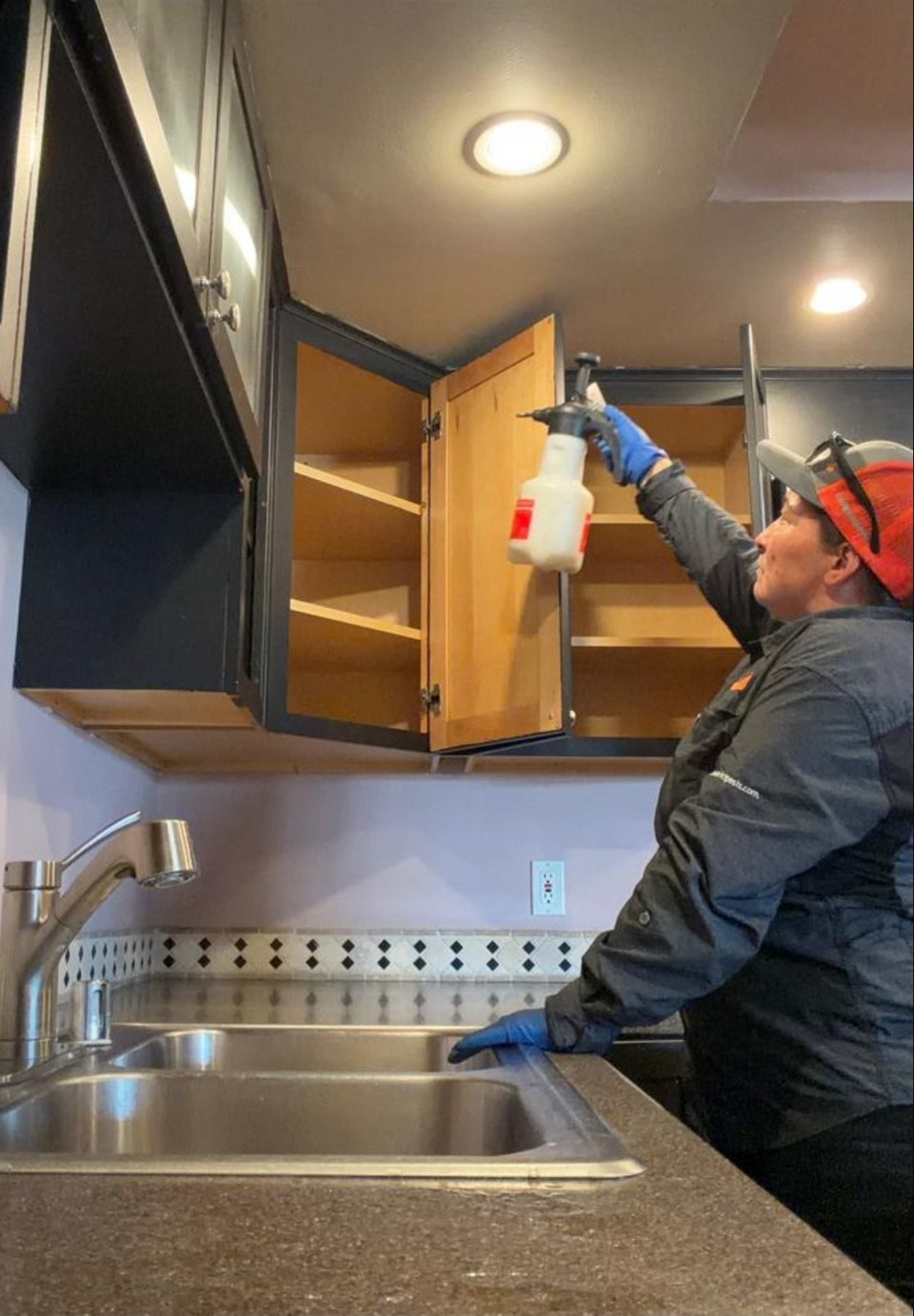 Chris spraying inside an open upper kitchen cabinet to treat ants at a home in downtown Long Beach