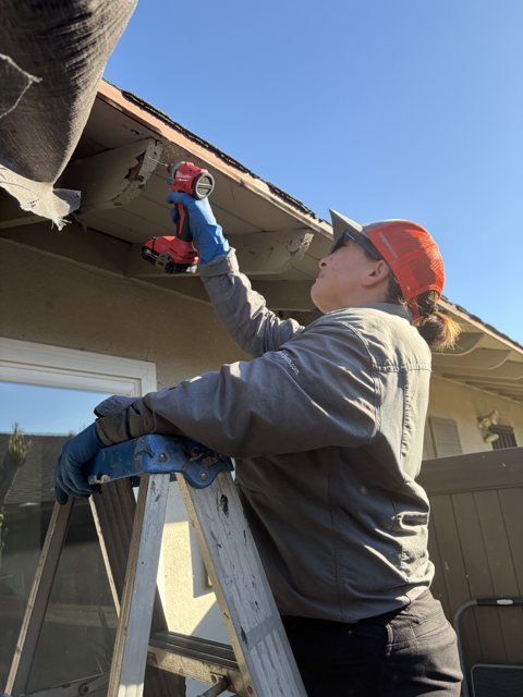 Chris drilling into a damaged rafter tail before treating it