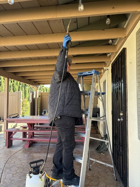 Spraying termite treatment along the wood beams of a patio cover